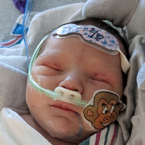 Fundraising Page: Rosalie Brege